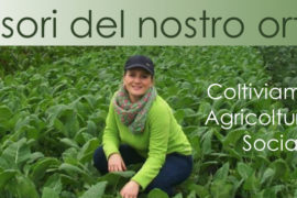 I Tesori del nostro orto